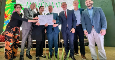 Fundo Amazônia: cadeias produtivas de florestas terão R$ 96,6 milhões