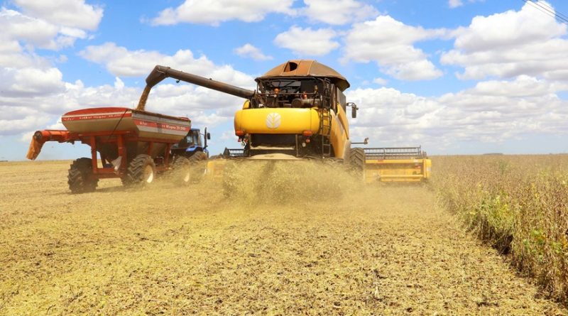 Produção da soja tem previsão de novo recorde na série histórica em 2026