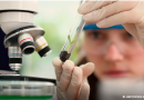Observatório lança edital do programa Meninas Cientistas do ON