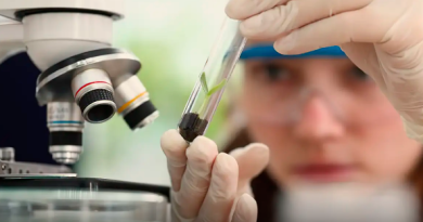 Observatório lança edital do programa Meninas Cientistas do ON