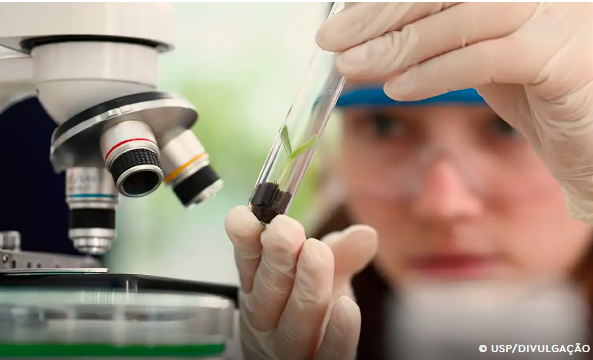 Observatório lança edital do programa Meninas Cientistas do ON