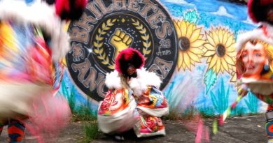 Projetos na Câmara buscam fortalecer o Carnaval como patrimônio e ampliar a segurança dos foliões