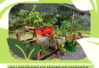 Morro do Morcego em Niterói recebe ação de reflorestamento e inauguração de viveiro de mudas nativas