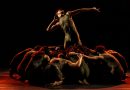 São Paulo Escola de Dança