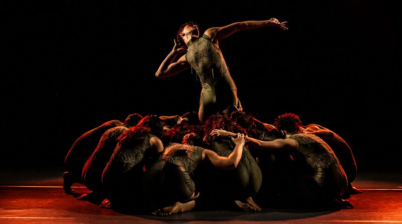 São Paulo Escola de Dança