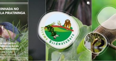 Passarinhada no Parque Orla Piratininga reúne público de todas as idades neste domingo em Niterói