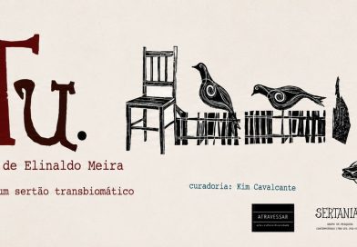 Exposição “TU” marca 30 anos de trajetória de Elinaldo Meira nas artes visuais e no ensino