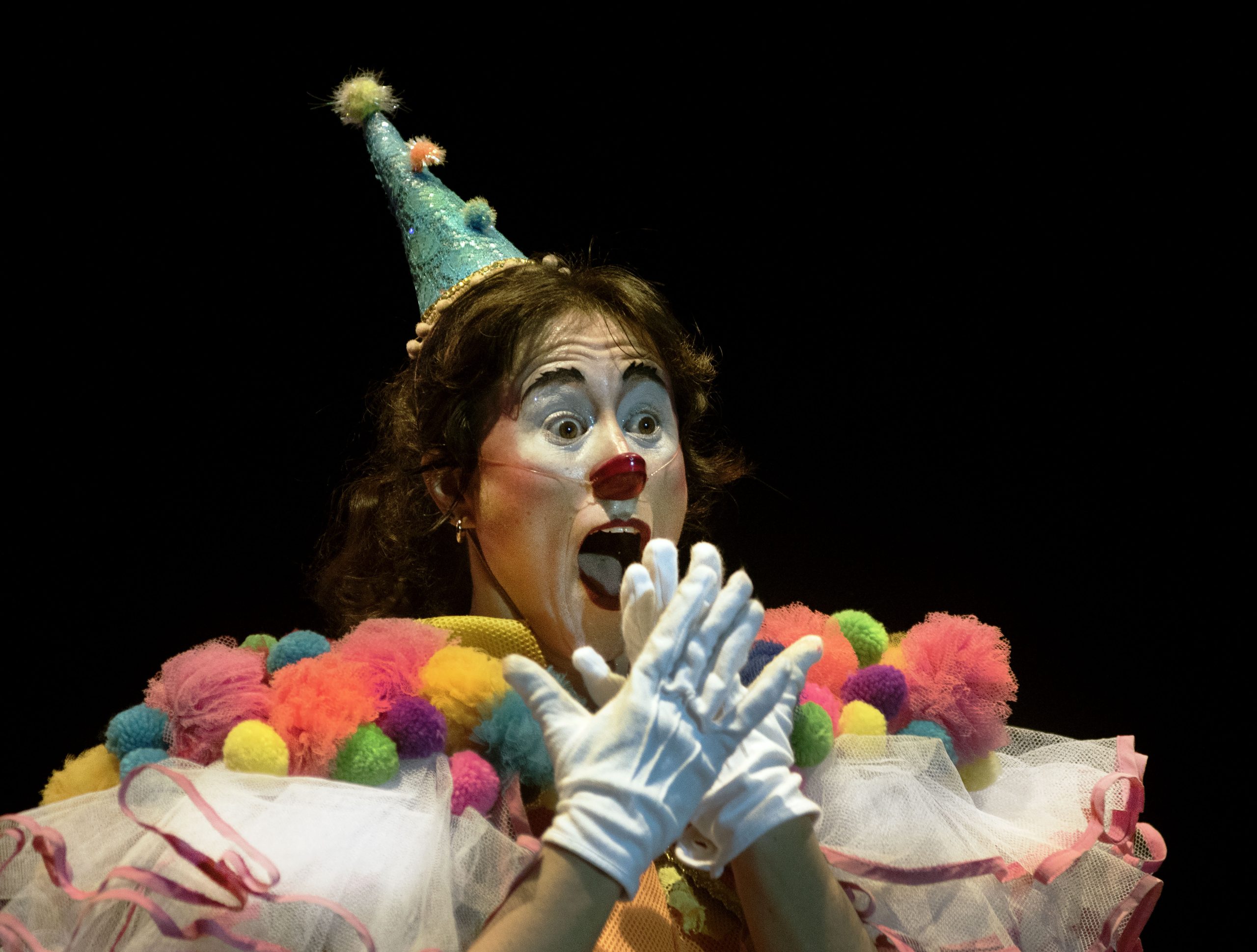 Espetáculo Alegrai, um musical circense brasileiro