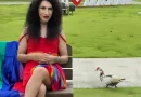 Lançamento de documentário em Araquari une memória local, direitos humanos e inclusão cultural