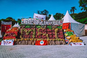 Ação solidária na capital mineira distribui quatro toneladas de alimentos da reforma agrária para territórios vulneráveis