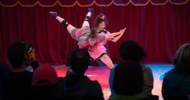 Festival Internacional de Circo Basileu França.