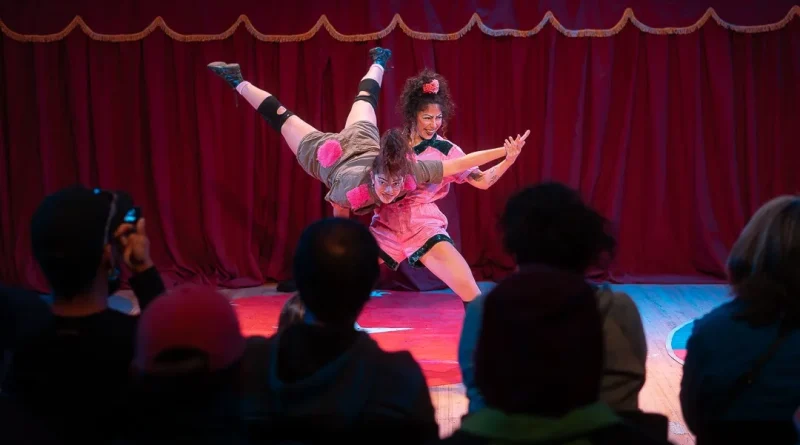 Festival Internacional de Circo Basileu França.