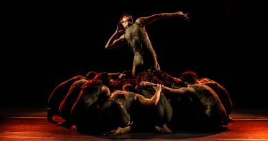 São Paulo Escola de Dança