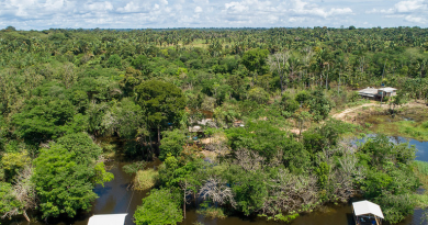 Formação voltada a povos indígenas debate mecanismos climáticos e conservação florestal no Distrito Federal