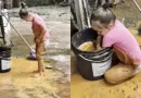 Infância raiz: menina de Pomerode conquista as redes com brincadeira no barro; confira