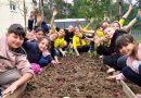 Educação ambiental e cultivo sustentável mobilizam comunidade de escola rural no Paraná