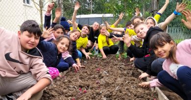 Educação ambiental e cultivo sustentável mobilizam comunidade de escola rural no Paraná