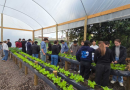 Capacitação no campo: programa voltado a empresas rurais amplia oferta de vagas para aprendizes