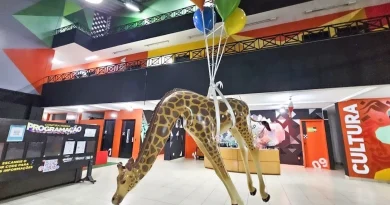Escola Municipal de Artes em Ribeirão Pires mantém programação de curta duração até novembro