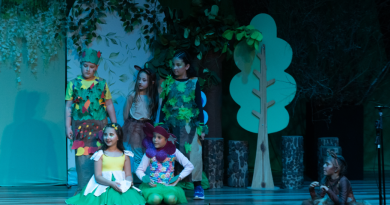 O 19º Festival de Teatro de Pinhais começou na quarta-feira (14) e segue até 27 de outubro, com espetáculos gratuitos em quatro espaços culturais do